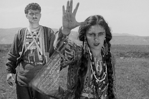 ‘Eliso’ (1928), ‘Cruising’ (1980), and an update on RGFC 100&nbsp;project